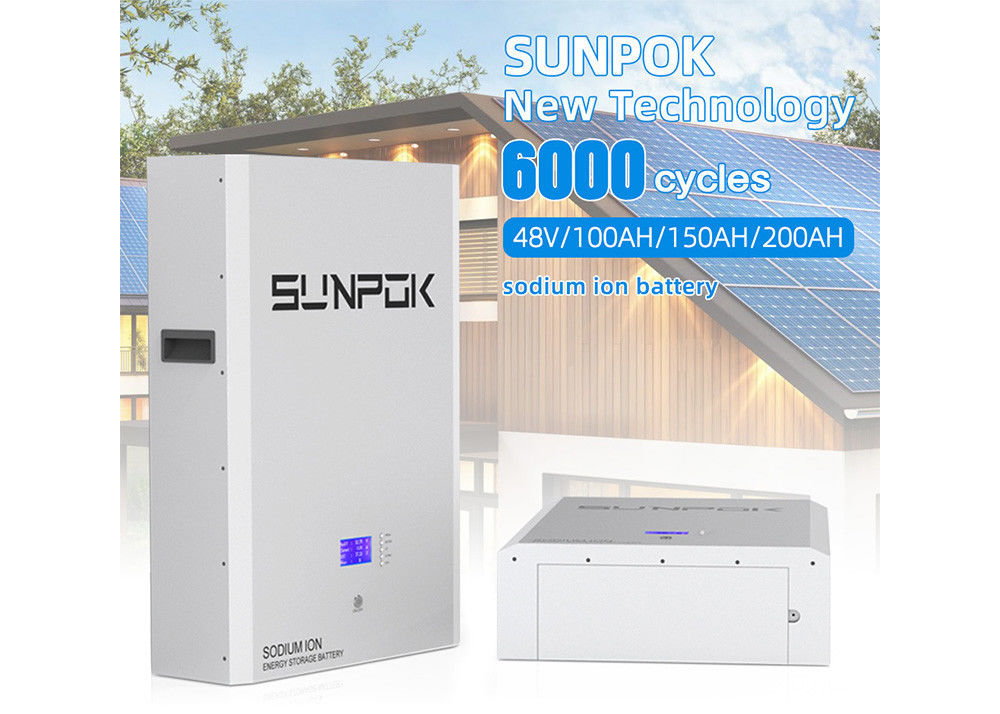 Tingkat Pelepasan Sendiri 2% Per Bulan Baterai Natrium Ion SP-48100-BG-NA tahan lama
